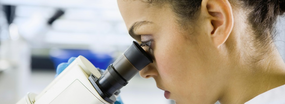 Investigação e Desenvolvimento